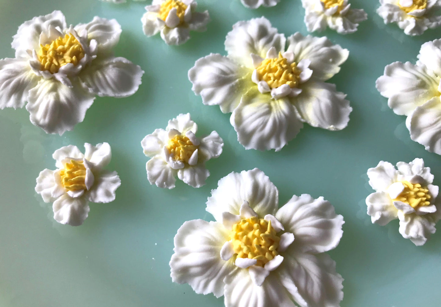 New! Royal Icing 'Daphne' White Flowers