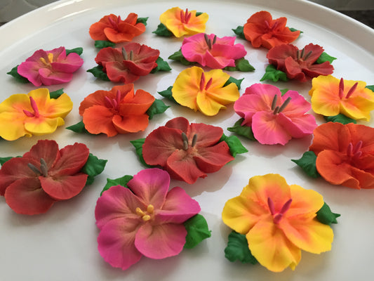 Royal Icing Bright Summer Hibiscus Flowers