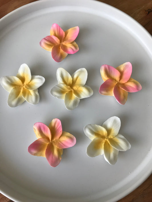 Custom Order for Francine