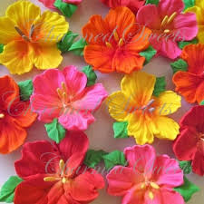 Royal Icing Bright Summer Hibiscus Flowers
